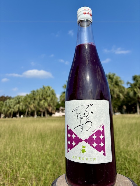 紫　フラメンコツーピース　日本製 紫 フラメンコツーピース 日本製 紫 フラメンコツーピース 日本製